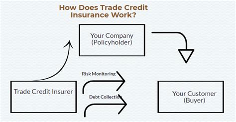 How Does Trade Credit Insurance Work Securenow
