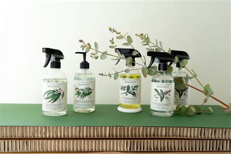 Maybe you would like to learn more about one of these? These eco friendly cleaning products are under $10, and ...