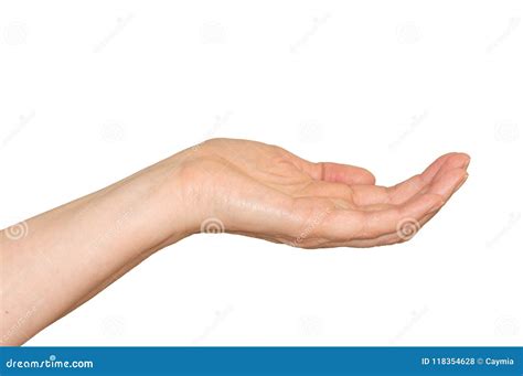 Caucasian Woman`s Empty Cupped Hand Palm Up Stock Photo Image Of