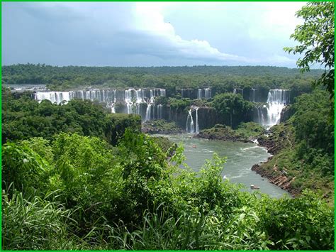 Gli awá, che vivono ancora incontattati nella foresta dell'amazzonia, cacciano con archi di 2 metri. Ambiente. Sotto attacco la foresta amazzonica | crudiezine