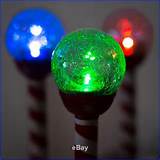 Pictures of Christmas Solar Lights