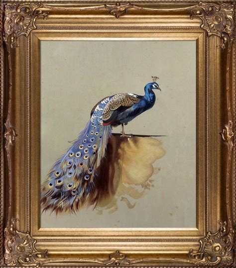 Must have a good to excellent credit score. Peacock (Luxury Line) Pre-Framed, Archibald Thorburn