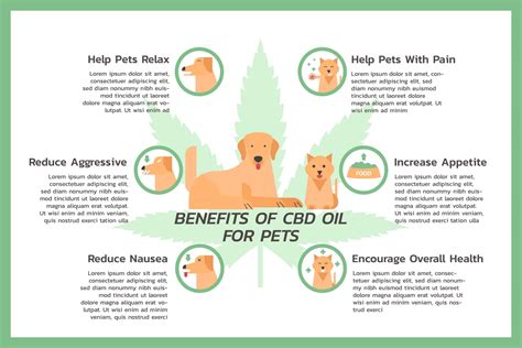 Cbd Oil Benefits Reduce Anxiety Joint Pain And Allergic Reactions