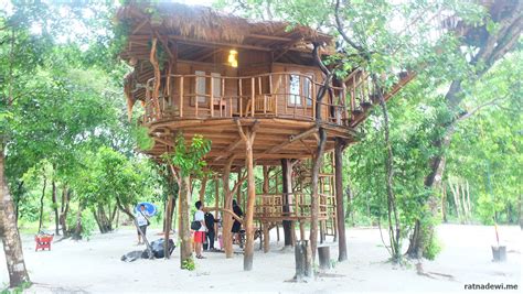 Pohon hias memiliki nilai estetika dan keindahan di. rumah-pohon