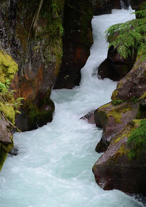 Avalanche Creek Gorge 3 Photograph By Whispering Peaks Photography