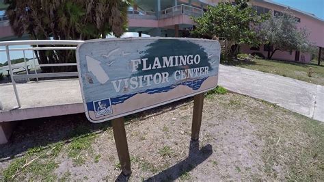Flamingo Visitor Center Everglades National Park Youtube