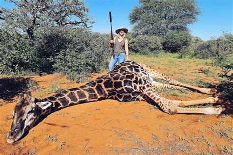 Trophy Hunter Poses With Valentines T The Heart Of Giraffe She Just Shot World News