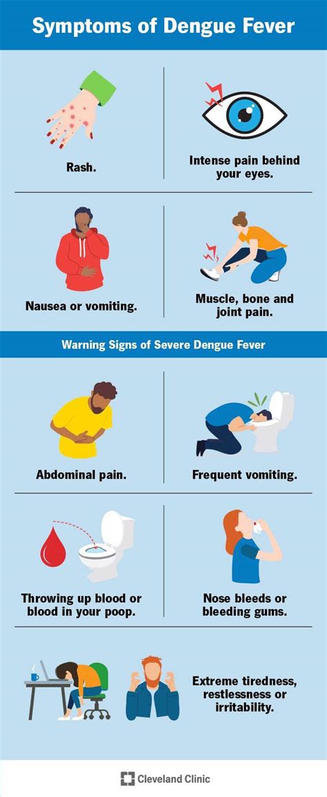 How To Cure Dengue Tomorrowfall9