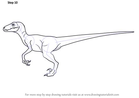 Step By Step How To Draw A Velociraptor In 2021 Velociraptor Drawing