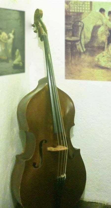 Double Bass Bajo De Arco Upright Bass All Buy And Sell Metro Manila