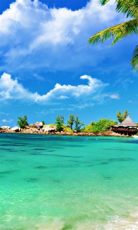 How do i enable it? Tropical Palm Beach Live Wallpapers Free Download Desktop ...