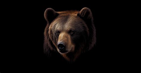 Majestic Grizzly Bear Stunning Grizzly Bear Portrait Grizzly Bear