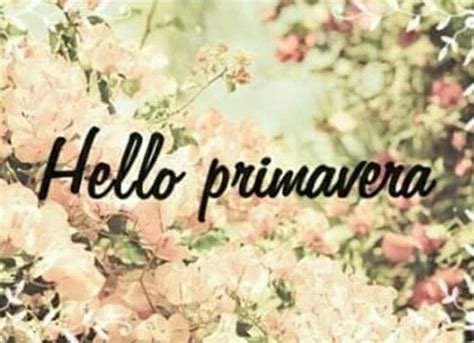 Oracle primavera risk analysis, project risk management training, monte carlo simulations, @akimmuhendislik1994. Hello Primavera Pictures, Photos, and Images for Facebook ...