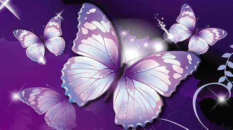Purple Butterflies Hd Wallpaper Background Image 1920x1080