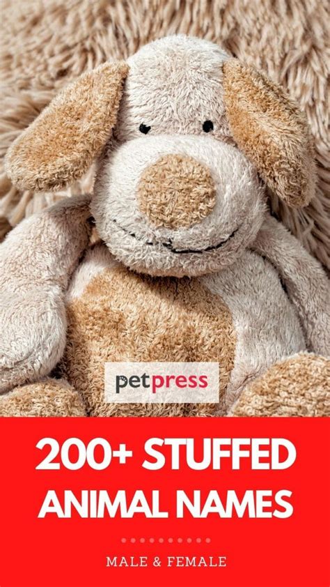 250 Stuffed Animal Names Best Names For A New Stuffed Animal