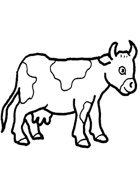 Cows coloring pages to download and print for free
