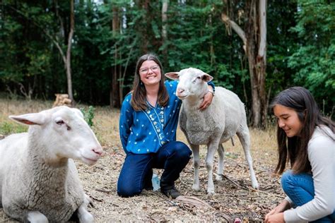 Therapy With Farm Animals — Wish Fulfilling Tree Therapeutic Ranch