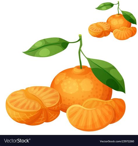 Tangerine Fruit Mandarin Cartoon Vector Icon Isolated On White