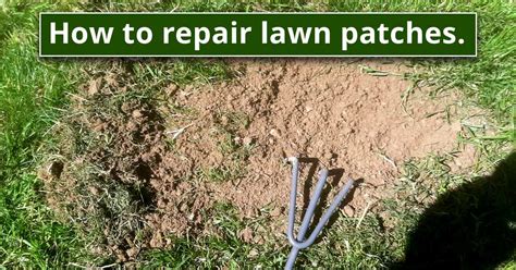 How To Repair Dead Grass Patches