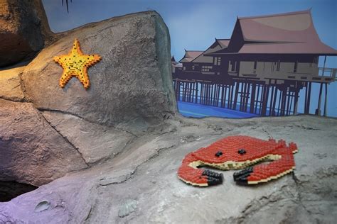 Sea Life Legoland An Interactive Way To Learn About Fishes