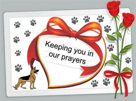 Here is a little prayer for healing your sick pet. Keeping you in prayer | Sending prayers, Prayers, Birthday ...