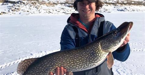 Ice Fishing For Pike How To Target Northern Pike Through The Ice