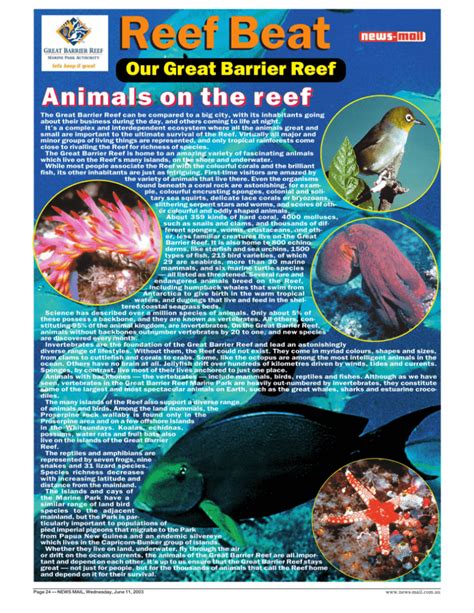 Animals On The Reef Great Barrier Reef Marine Park Authority