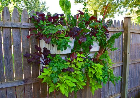 Vertical Garden Planters Are Easy To Install In Full Shade