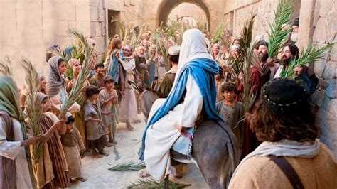 5 Types Of People In The Palm Sunday Crowd Letterpile