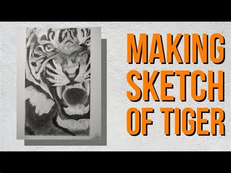 Making Sketch Of Tiger With Grid Method Realistic Eye Timelapse