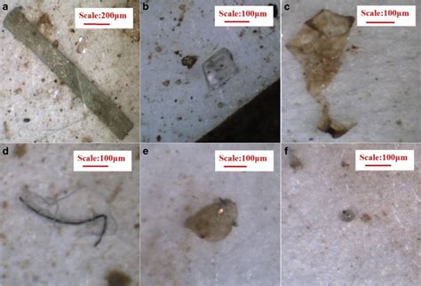 Photographs Of Microplastics Items Identified By Using Microscope Foam
