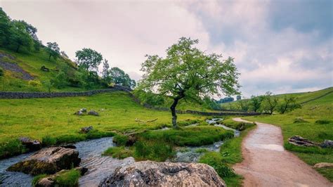 19.06.2020 · 40+ gambar pemandangan indah untuk wallpaper hd download soal kekayaan alam dan keindahan, kita. 24+ Wallpaper Pemandangan Indah Untuk Android - Foto ...