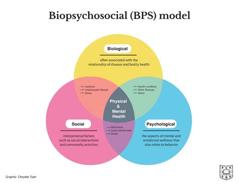 Three Aspects Of Health And Healing The Biopsychosocial Model In