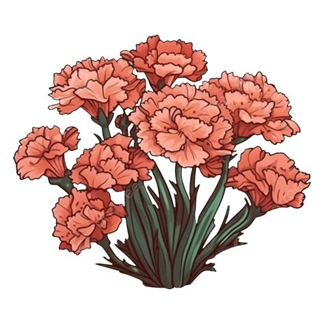카네이션 핑크 번성 패턴 카네이션 무늬 꽃들 Png 일러스트 및 이미지 에 대한 무료 다운로드 Pngtree