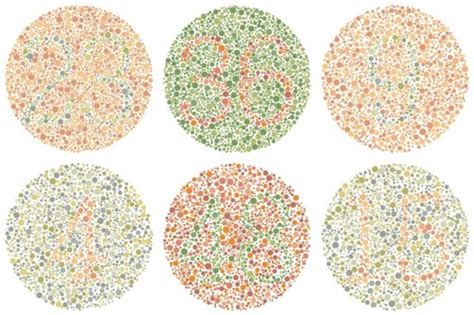 Ishihara Test Identifies Colour Blindness Optical Express Gambaran