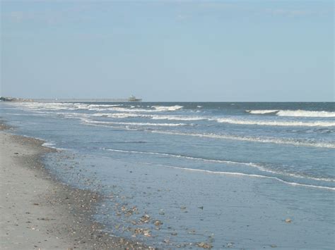 Shells On Folly Beach South Carolina Beaches Folly Beach Charleston