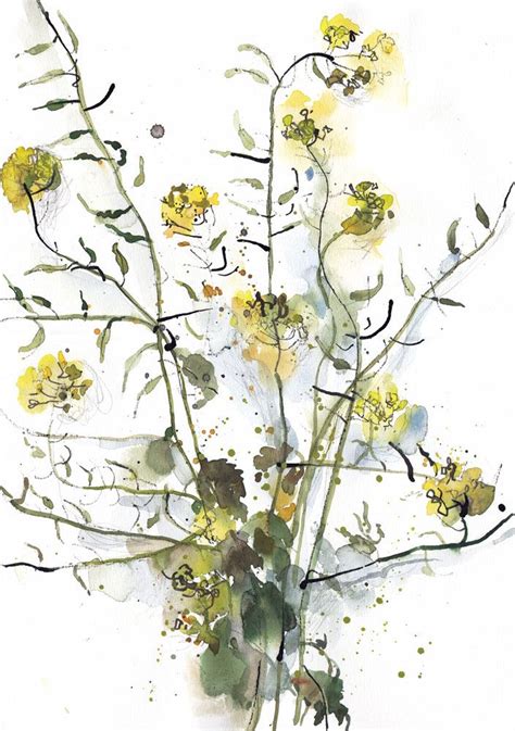 Mustard Plant Print Wildflowers Watercolor Print Yellow Etsy Yellow