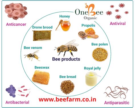 Do You Know About Honeybee Products Bee Products And Its Benefits
