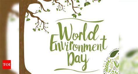 World Environment Day Theme Importance And Significance