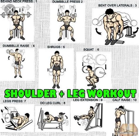Shoulders And Legs Shoulder And Leg Workout Leg Workout Leg Workout
