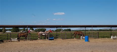 Horse Boarding Near El Paso Texas Heartland Ranch Anthony