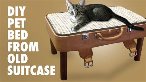 Suitcase Pet Bed How To Make A Bed From A Suitcase For Your Cat Or
