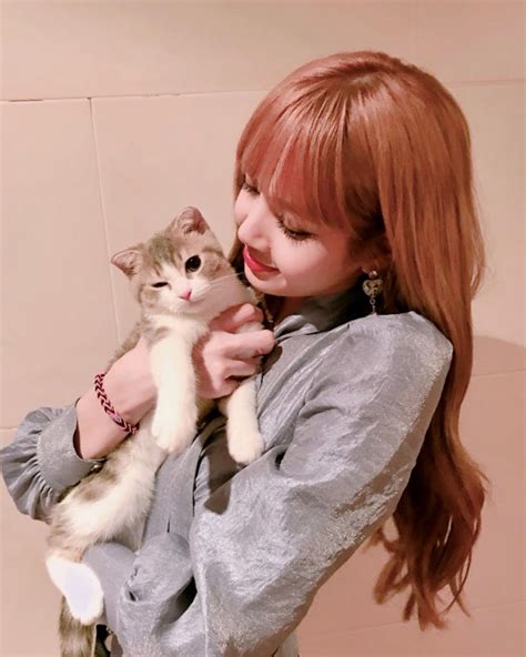 12 K Pop Idols Who Are Seriously In Love With Cats Koreaboo