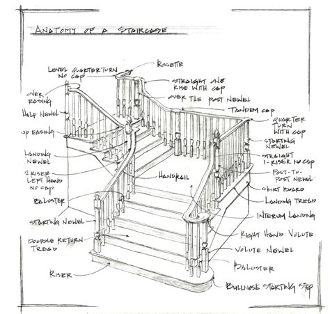 Stair Anatomy Diagram