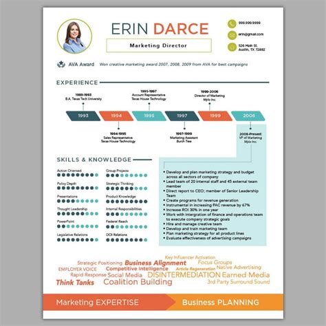 Infographic Resume Templates Free Aresumed