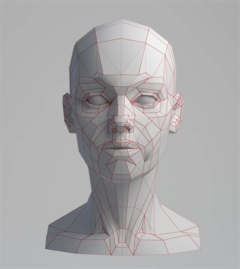Human Face Anatomy Drawing Ray Draw