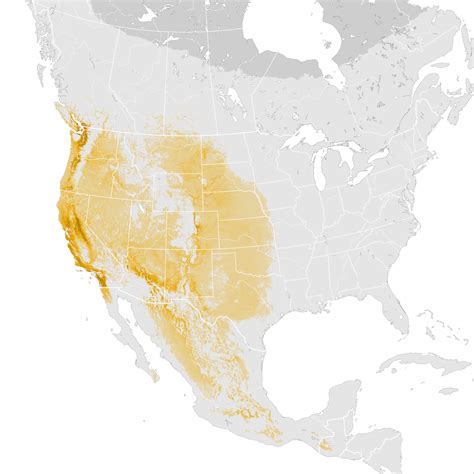 Spotted Towhee Abundance Map Post Breeding Migration Ebird Status
