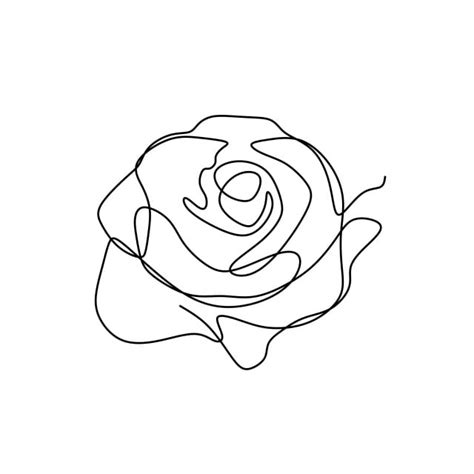 Vector wildflower floral botanical flowers. Flower Continuous One Line Art Drawing Vector Illustration ...