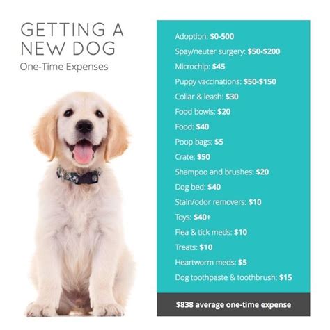 Whats The True Cost Of Owning A Dog And How To Cut Costs Without