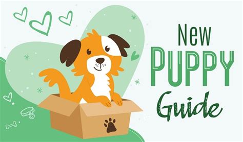 Guide On Bringing Home A Puppy Living Among Animals